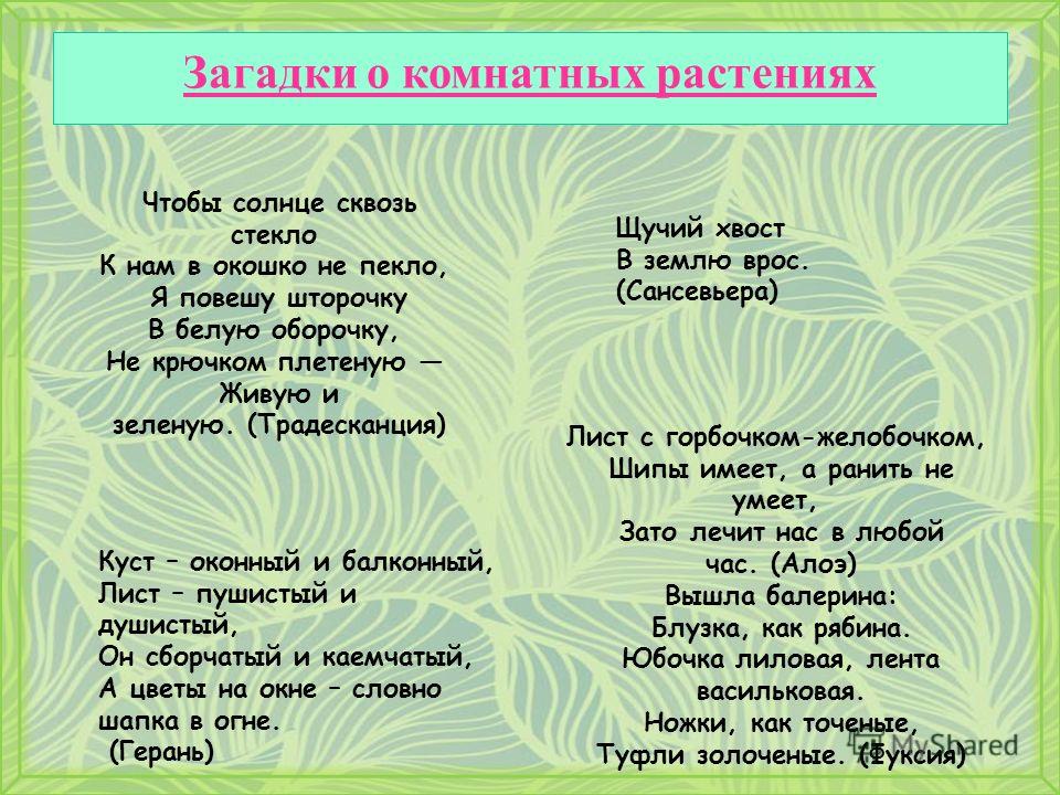 Тайна растений