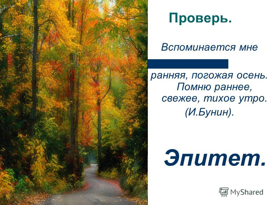 Вспоминается мне ранняя погожая осень воздух. Вспоминается мне ранняя Погожая осень помню раннее свежее тихое утро. Бунин вспоминается мне ранняя Погожая осень. Бунин утро. Эпитеты в стих листопад Бунин.