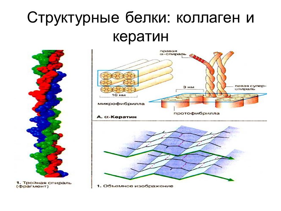 Какими тремя видами связей соединены кератиновые цепочки в волосе