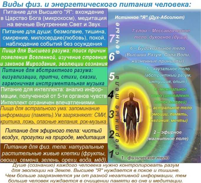 Каузальный это. Астральное тело человека астральное тело человека. Структура тонких тел человека. Оболочки тела человека энергетические. Оболочки человека тонкие тела.