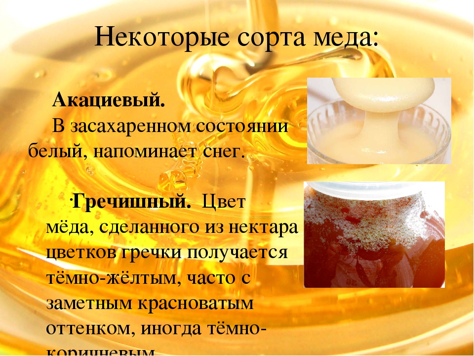 Польза меда для здоровья. Мед ккал. Калорийность меда. Описание меда. Мед калорийный.