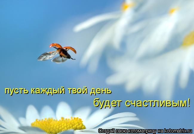 Каждый ваш день. Пусть каждый день счастливым будет. Пусть каждый день удет счастлвым. Будьте счастливы каждый день. Пусть твой день.