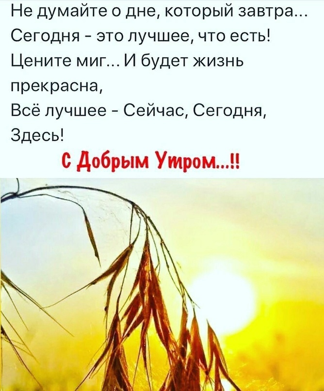 Цените то что утром встали картинки