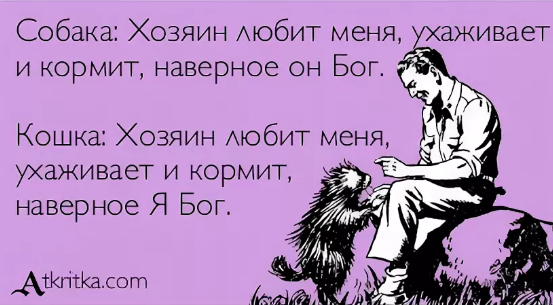 Писать хозяин. Наверное я Бог. Собака думает человек меня кормит. Человек меня кормит наверное он Бог. Собака думает что человек Бог.