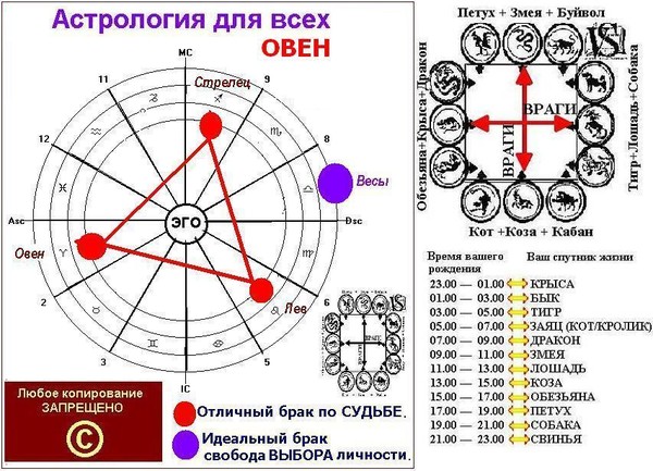 Совместимость по гороскопу женщина овен мужчина стрелец. Символ стрельца в астрологии. Зодиакальные кресты в астрологии. Знаки фиксированного Креста в астрологии. Кресты в астрологии символы.