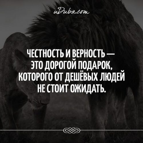 Честность и верность цитаты картинки