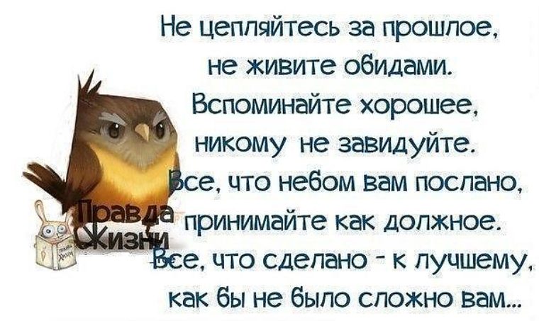 А хорошо жить еще лучше картинки