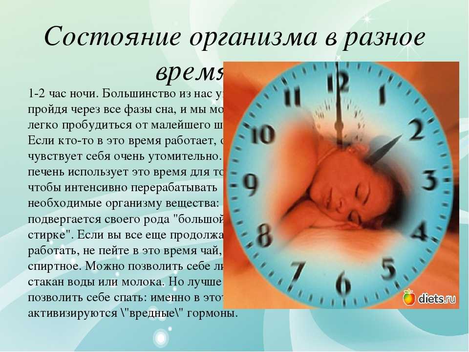 Значение сна время. Биологические часы. Биоритмы по часам. Биологический ритм и часы. Биологические часы организма по часам.