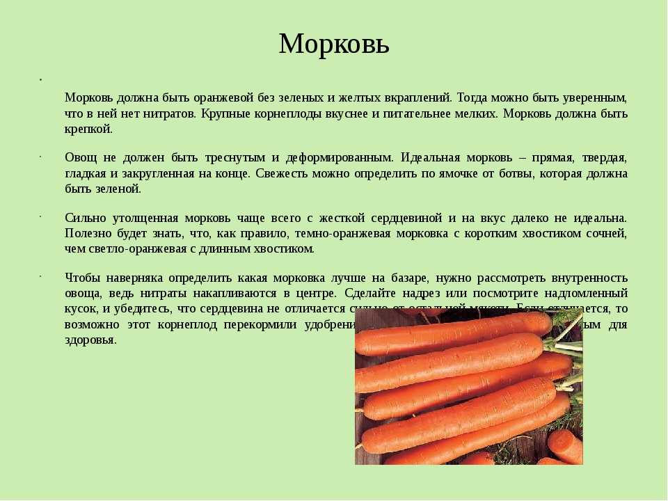 Почему нельзя морковь. Морковка полезная для похудения. Можно ли морковку есть каждый день. Сколько можно есть морковки в день. Что будет если кушать морковку.
