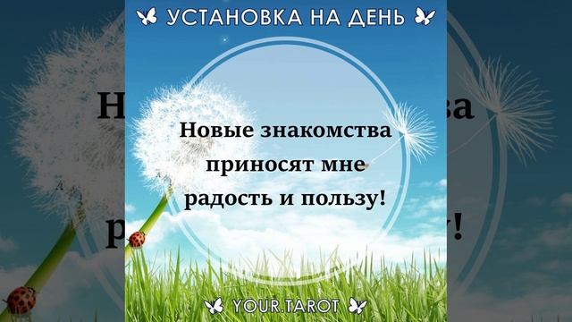 Установка на день