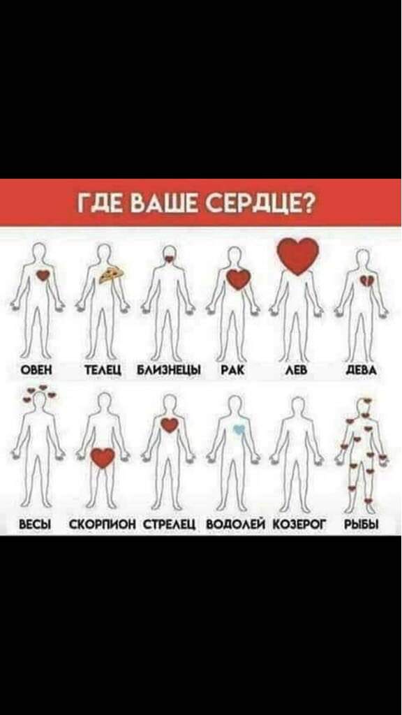 Картинка где находится сердце у знаков зодиака