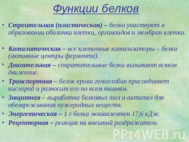 Пластические белки. Белки в организме человека выполняют функцию. Какие функции выполняют белки. Какие функции выполняют белки в организме человека. Основные функции белков пластическая.