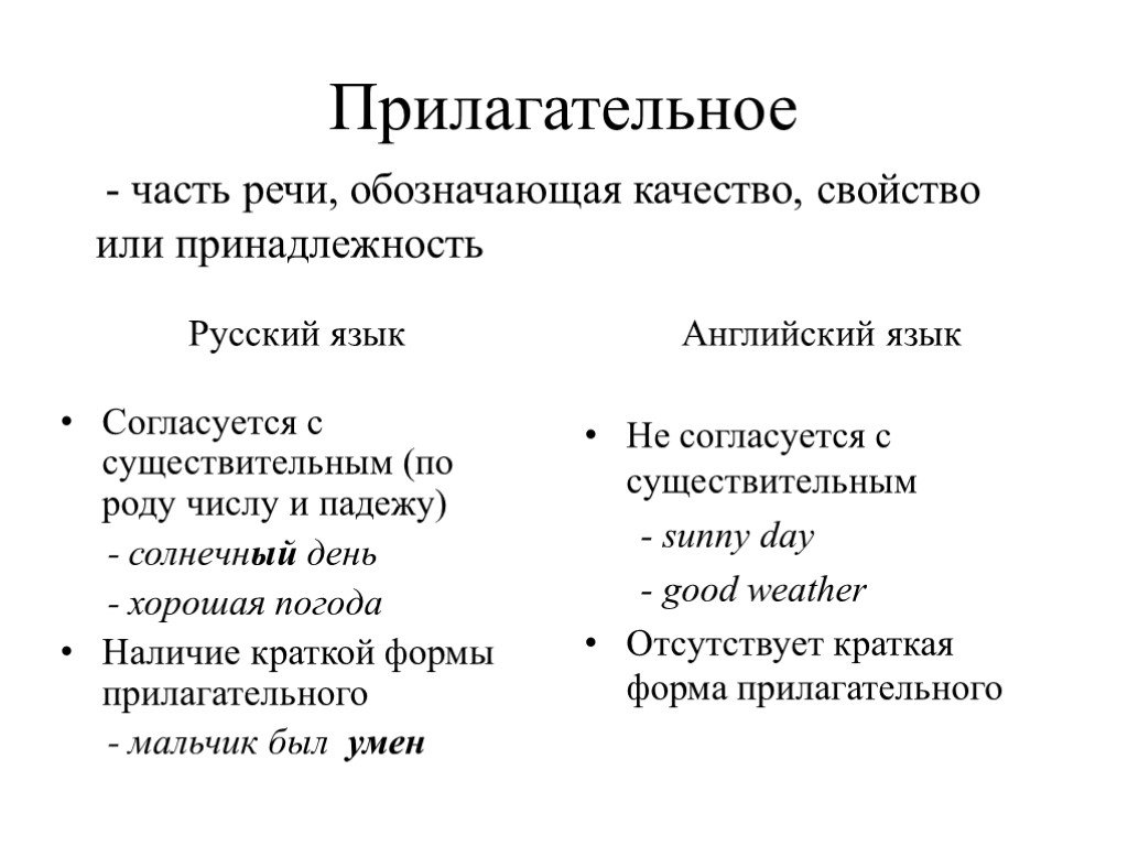 Случаи сходства грамматических форм