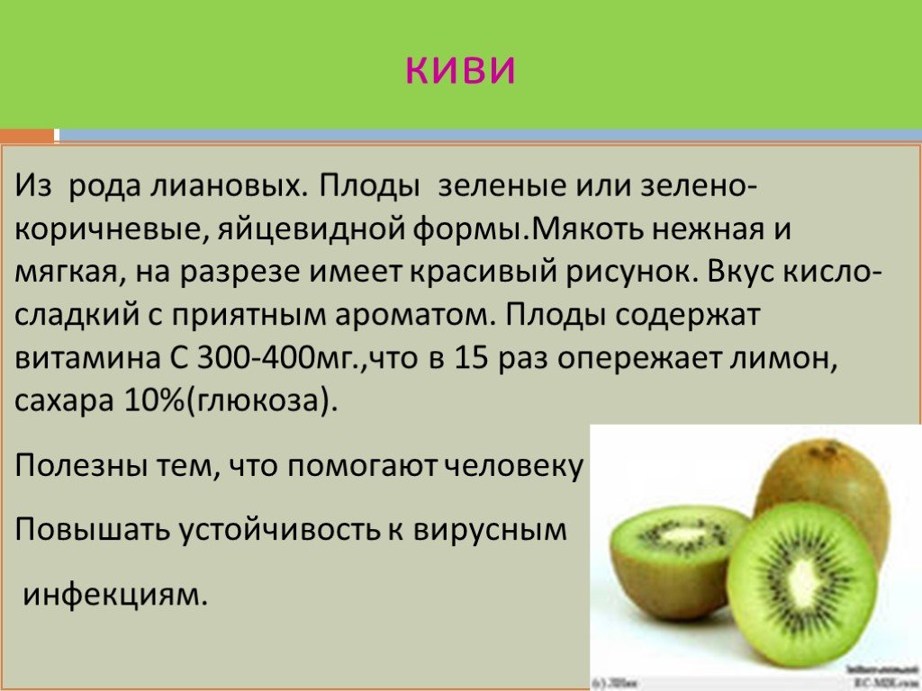 Род плодовых. Какого рода слово киви фрукт. Киви род существительного. Киви фрукт какого рода существительное. Киви какого рода в русском.