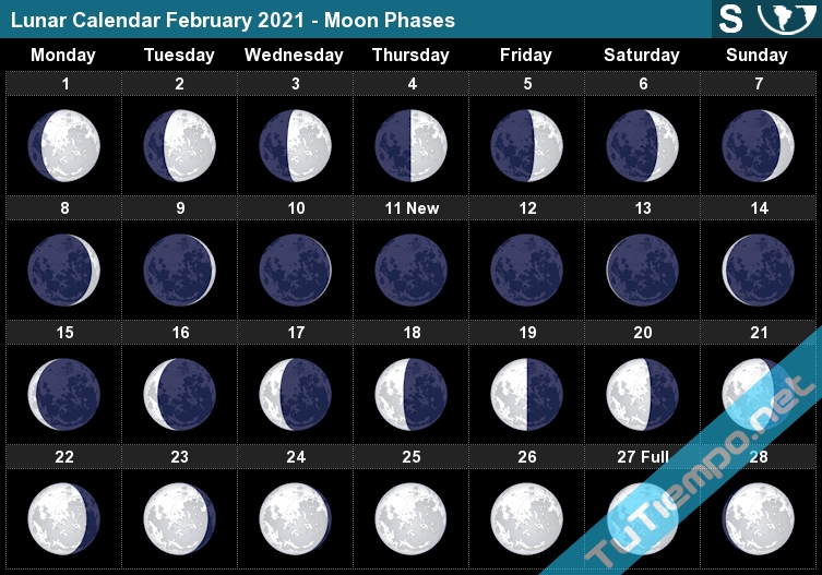 Какая сейчас луна на сегодня апрель. Полнолуние по годам. Цикл Луны. Полнолуние 2021. Когда будет полнолуние.