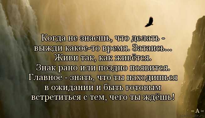 Я жив и вы будете жить. Цитаты. Афоризмы когда не знаешь что делать. Все происходит в нужное время. Нужный человек в нужном месте.