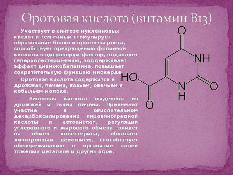 Тиактоцитовая кислота. Оротовая кислота. Витамин b13 оротовая кислота. Синтез нуклеиновых кислот. Вещества стимулирующие Синтез нуклеиновых кислот.