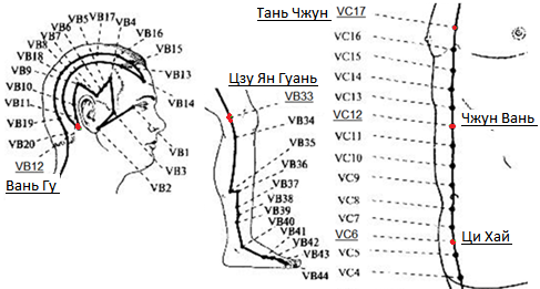 Точка 12. Точка вс 12 Чжун Вань. Цзу Ян Гуань точка. Точка Сюань Лу vb5. Чжун Вань точка расположение.