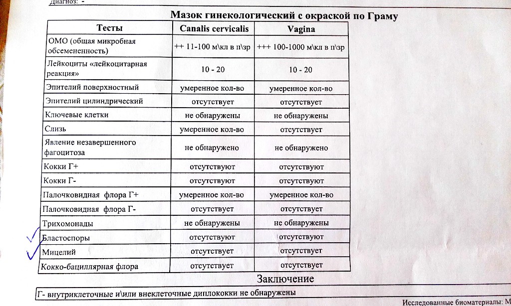 Количество клеток в образце 500 что значит у женщин в мазке