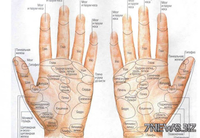 Родинка на пальце правой руки значение. Определение болезни по рукам. Болезни по руке человека. Болезни по ладони левой руки. Определение болезни по ладони.