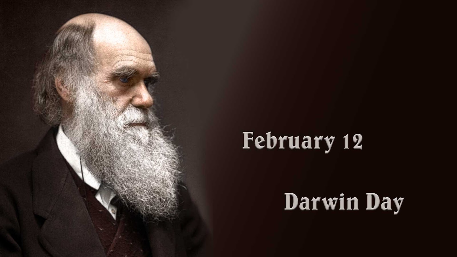 Почему человечество постоянно. Высказывания Дарвина о биологии. Цитаты Дарвина.