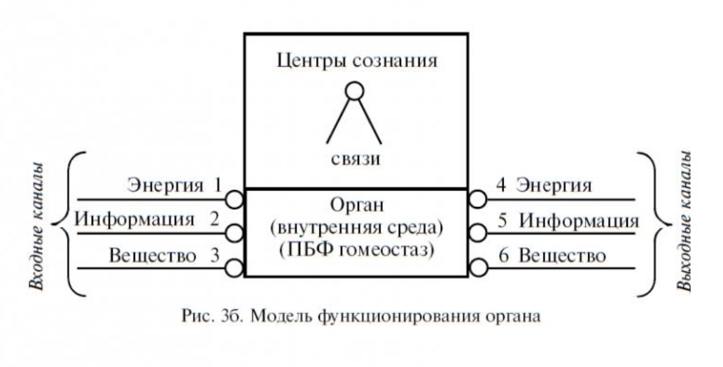 Соединение энергий. Центры сознания диаграмма Пучко. Центр сознания. Обобщенная модель рис. Центры сознания и их каналы управления.