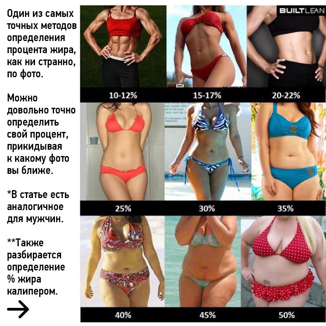 Как вычислить процент жира. Процент жира в организме женщины. % Жира в организме женщины. Процент жира у женщин. Жир у девушек.