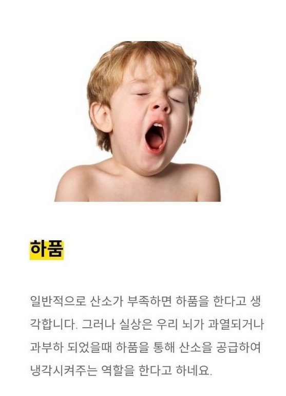 Зевает человек причины. Почему человек зевает. Ребёнок не может зивнуть. Почему зеваем.