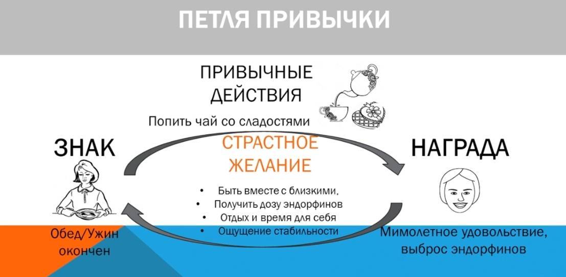 Привычки воспитание привычек