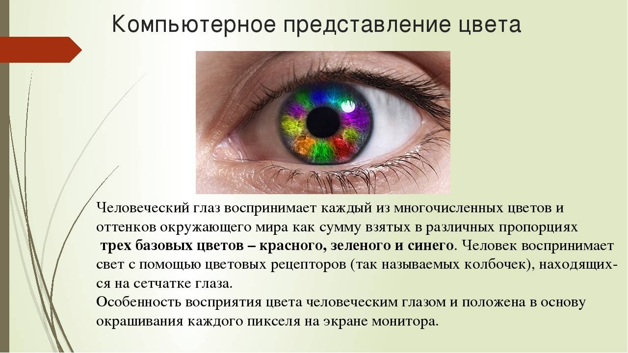 Каким образом можно наблюдать спектр глазами. Интересные факты о цвете глаз человека. Человеческий глаз различает цвета. Человеческий глаз воспринимает. Восприятие цветов глазом.