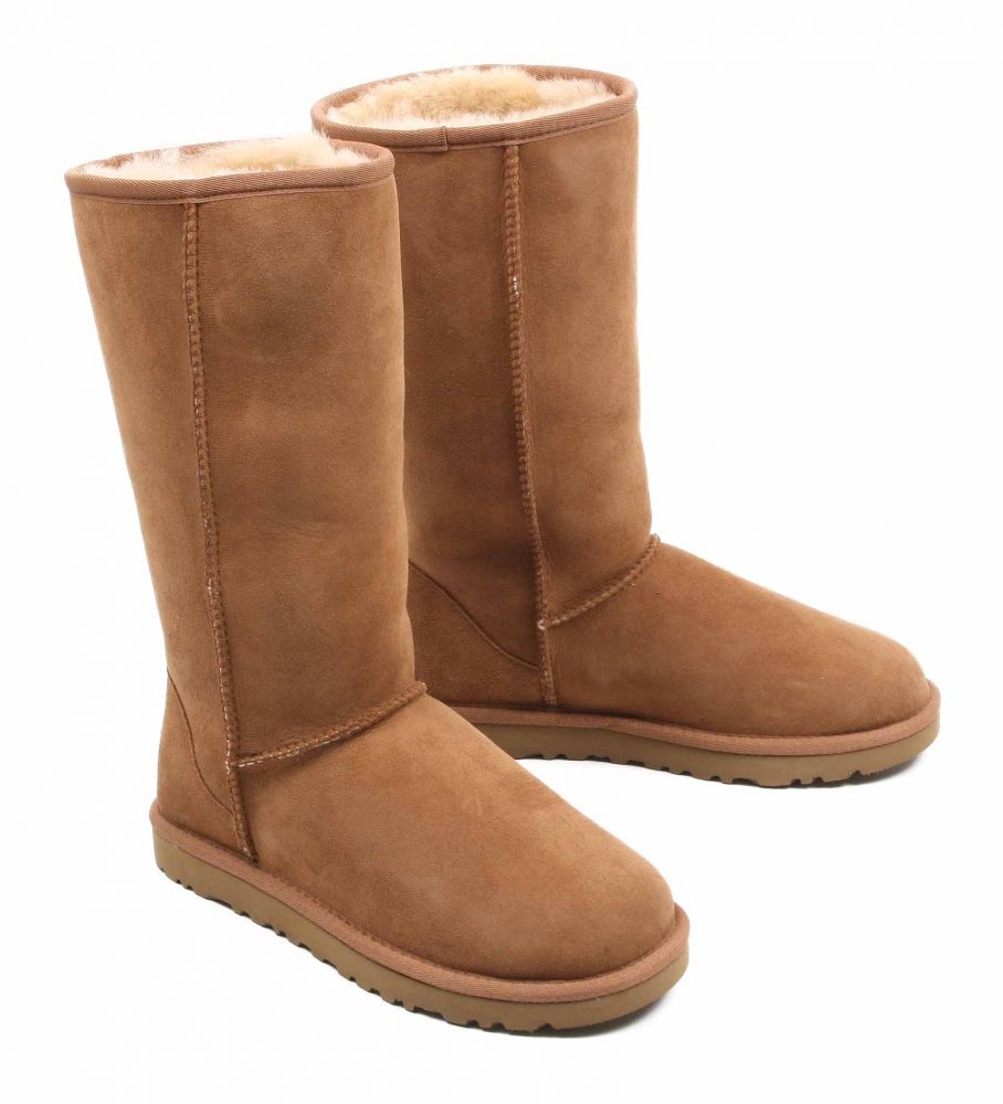 Угги угг. Угги ботинки UGG Martin Chestnut. Угги Chestnut. UGG Martin рыжие. UGG in Dubai.