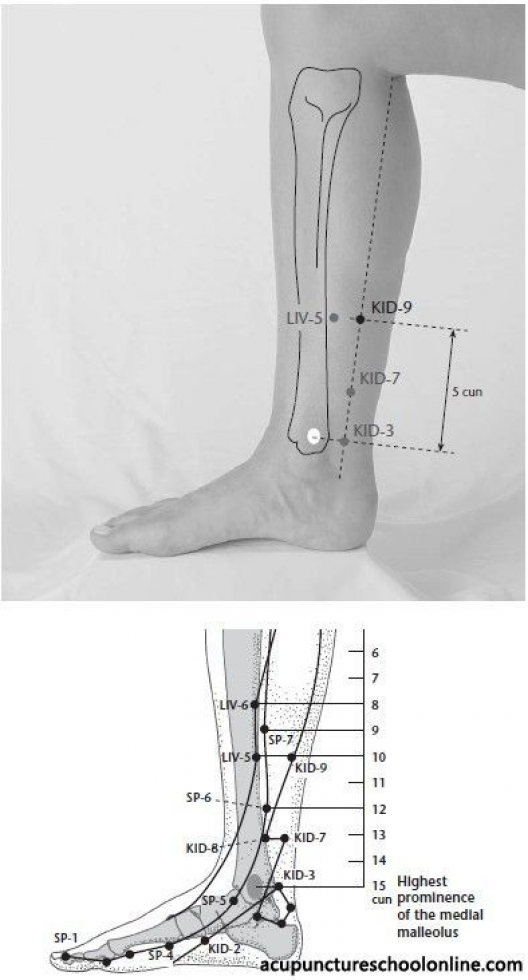 Tanpin points. Sp6 точка акупунктуры. R10 точка акупунктуры. Точка kid6 Kid 6 акупунктуры. Точки r3 r1 акупунктуры.