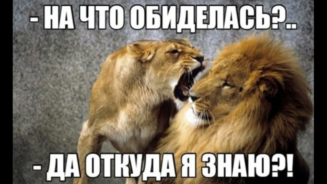 Обидеть льва