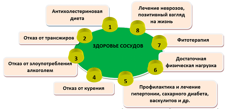 Питание при холестерине у женщин после 60. Антихолестериновая диета. Противо халестериновая диета. Антихолестериновая диета для женщин. Противохолестериновая диета для мужчин.