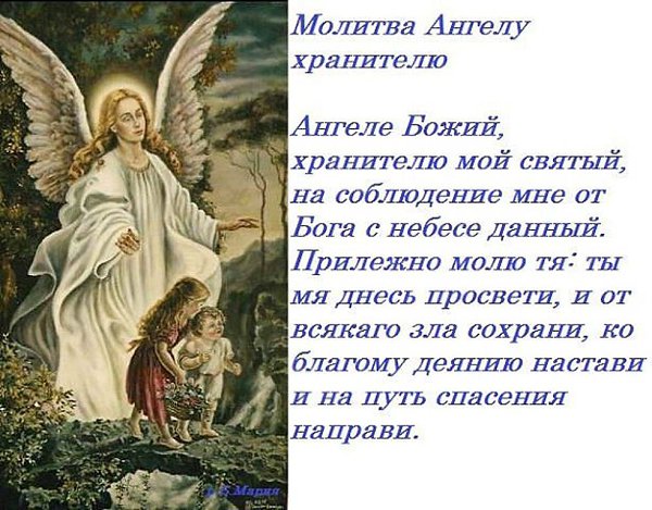 Молитва ангелу на ночь. Ангел молитвы. Ангеле Божий хранителю мой Святый. Молитвы Ангелу-хранителю. Молитва Ангелу.