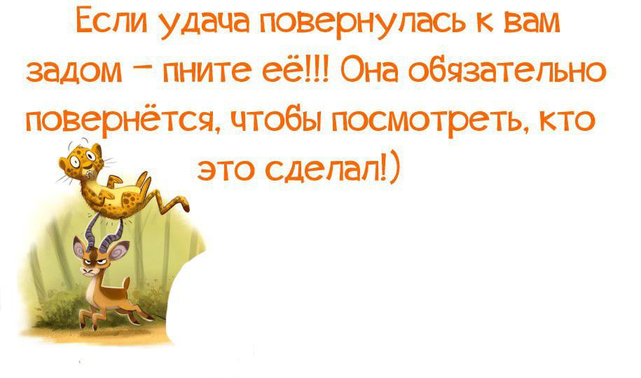 Согласно словарю даля означает удачу везение счастье. Мотивация правда жизни. Смешные цитаты про удачу. Правда жизни | юмор, мотивация, сарказм, цитаты. Правда жизни юмор мотивация.