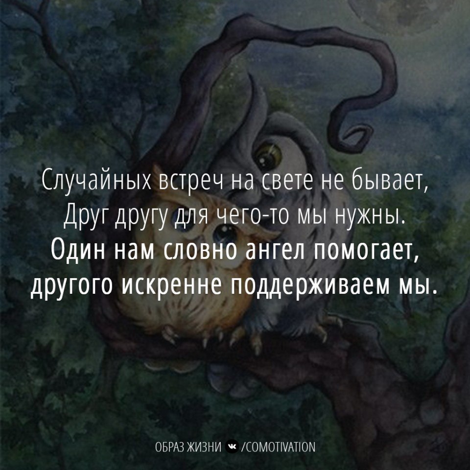 Между случайностью и неизбежностью 43 глава. Случайных встреч на свете не бывает. Случайных встреч не бывает цитаты. Случайных встреч не бывает стихи. Случайные встречи не случайны цитаты.