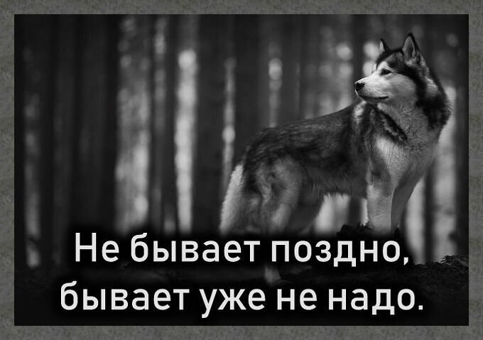 Не бывает поздно бывает не надо. Не бывает поздно бывает уже. Не бывает поздно бывает уже не нужно. Не бывает поздно бывает уже не надо цитаты. Открытка не бывает поздно бывает уже не надо.