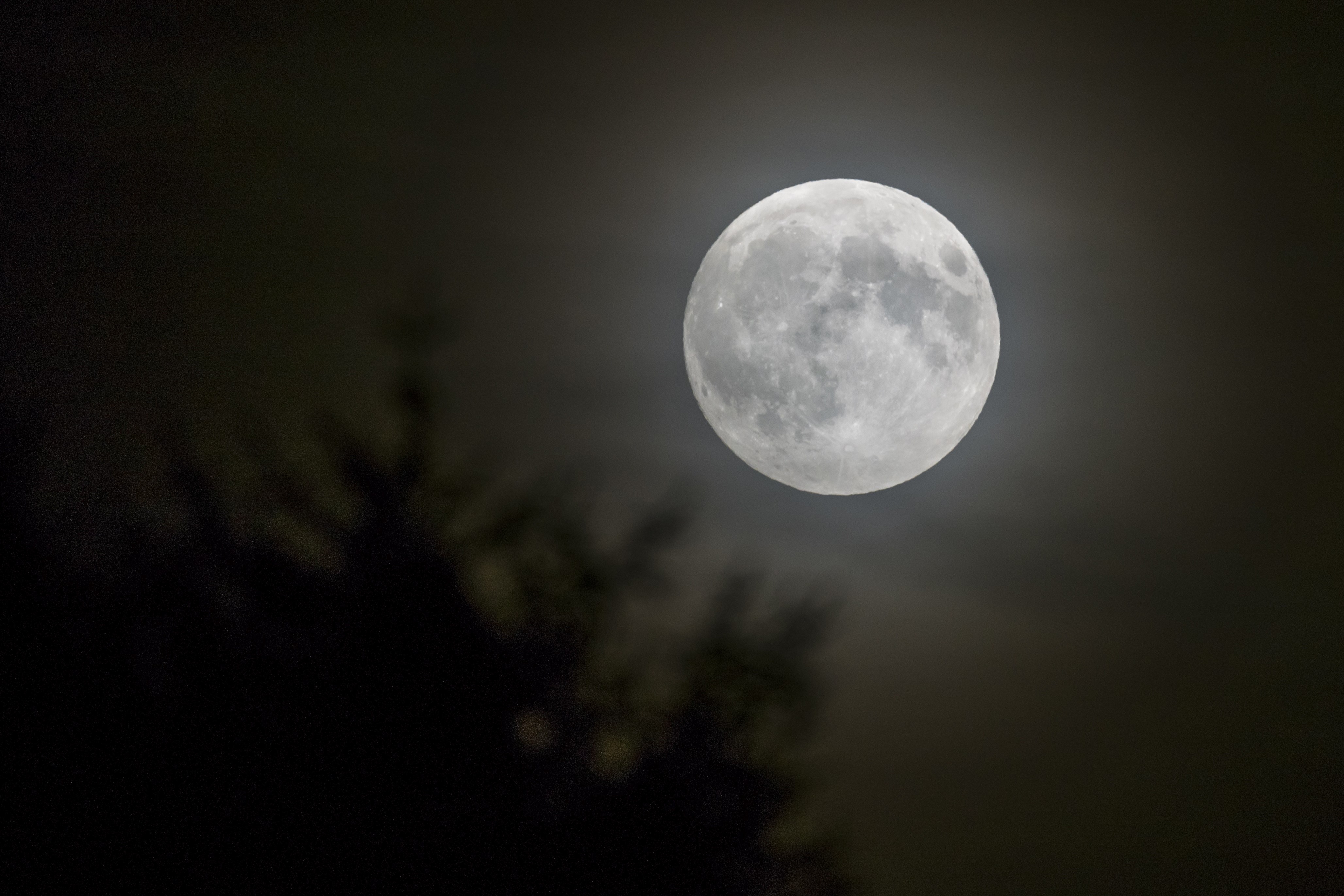 Луна стучит. Луна. Полнолуние. Фото Луны. Полная Луна.