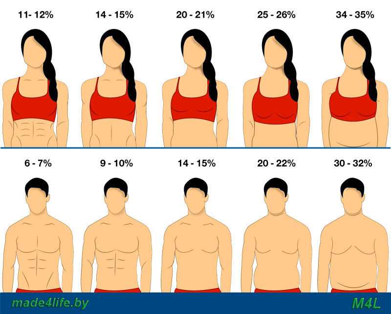 Мужчина 14 жира. % Жира в организме женщины. Процент подкожного жира у мужчин. Процент жира в организме женщины. Процент подкожного жира у женщин.
