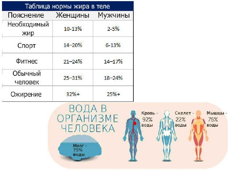 Процент веса. Процентное соотношение воды мышечной и жировой ткани норма. Состав тела человека в процентах таблица нормативов. Таблица содержания жира в организме человека. Нормы жира в организме женщины таблица.