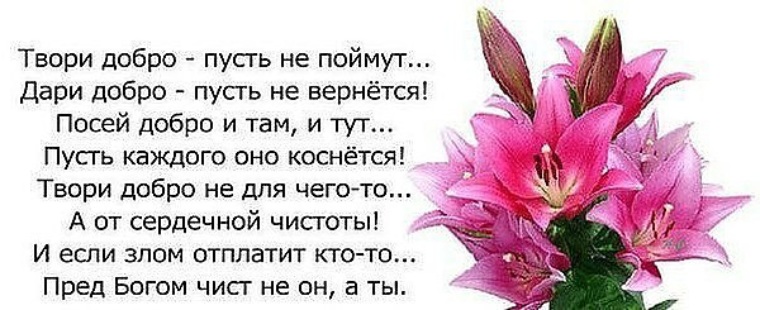 Как вы понимаете добро. Дарите добро фразы. Стих твори добро. Твори добро цитаты. Творить цитаты.