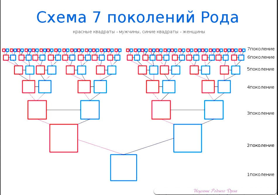 Род 7 поколений схема. Генограмма 7 поколений рода схема. Родословная таблица 7 поколений. Схема родословной семьи 7 поколений. Родовое Древо до седьмого колена схема.