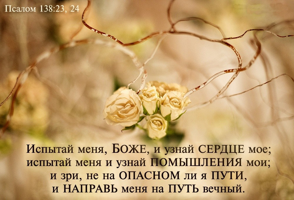 Псалом 17 читать на русском. Стихи из Библии. Стихи из Библии в картинках. Стихи из Библии на каждый день. Христианские открытки со стихами из Библии.