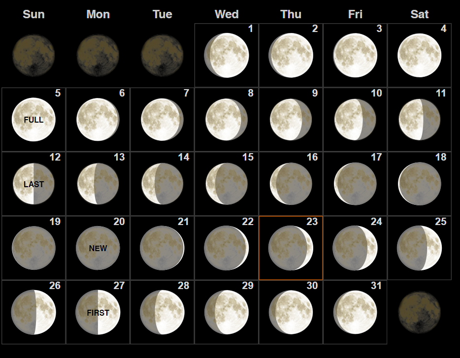 Какая сейчас луна. Moon phases 2021. Фазы Луны в августе 2021. Фаза Луны сейчас. Седьмой лунный месяц это.