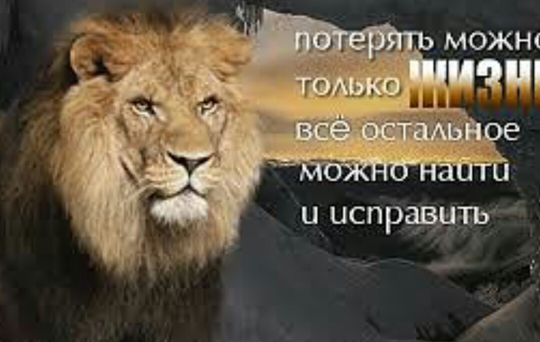 Пока возможно. Потерять можно только жизнь всё остальное можно исправить. Все в этой жизни можно исправить. Всегда можно все исправить. Потерять можно только.