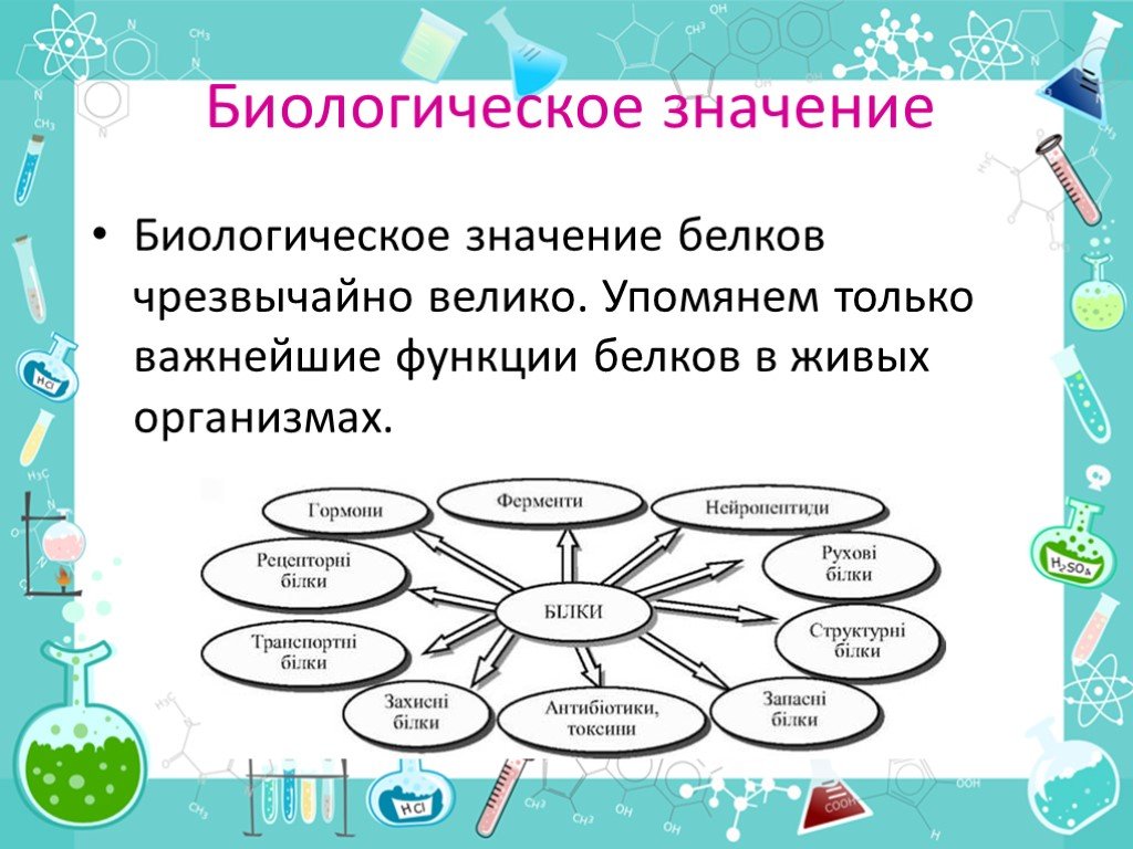 Какое биологическое значение. Биологическое значение белков. Биологическое значение белка. Белки биологическое значение. Биологическая роль белков.