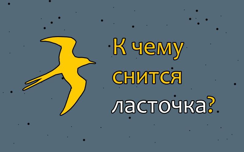 К чему снится ласточка. К чему снятся ласточки. К чему снятся птицы. К чему снятся ласточки во сне женщине. Что означает когда снятся птицы.