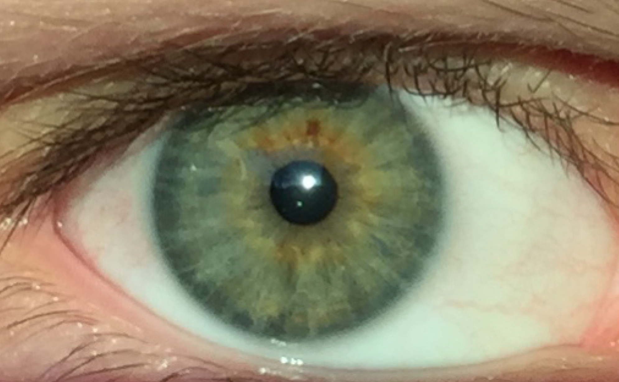 Мутно желтые глаза. Болотный цвет глаз гетерохромия. Серо болотные глаза. Серо зеленые глаза. Голубо-зеленый цвет глаз.