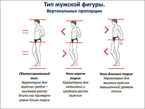 Ноги короче туловища